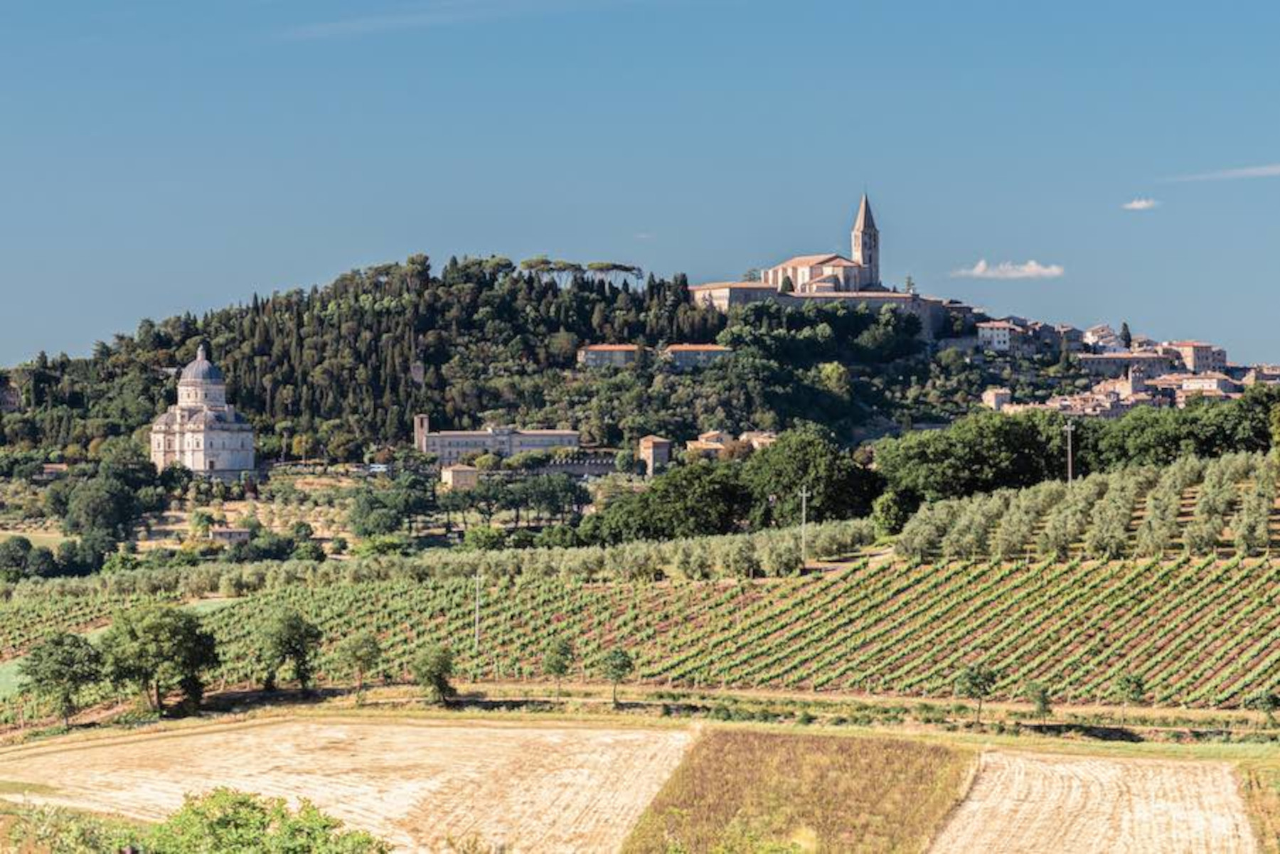 La Società Agricola Morettini ha scelto OREV© per l’etichetta elettronica dei propri vini