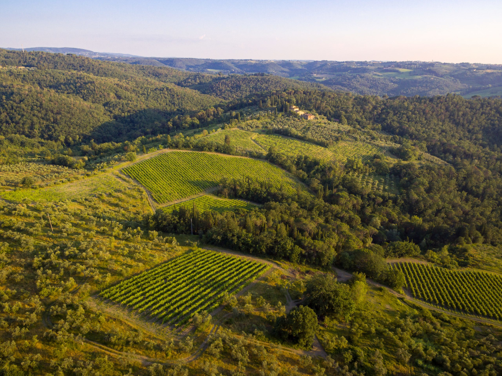 Tenute Beltrami S.p.A. (Impruneta – Firenze) sceglie il QR-Code di OREV© per l’etichetta elettronica dei suoi vini