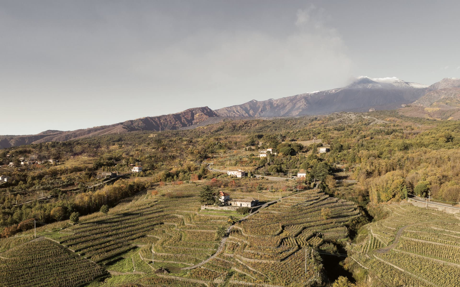 Cantina Maugeri (Milo – Catania) sceglie il QR-Code di OREV© per l’etichetta elettronica dei suoi vini