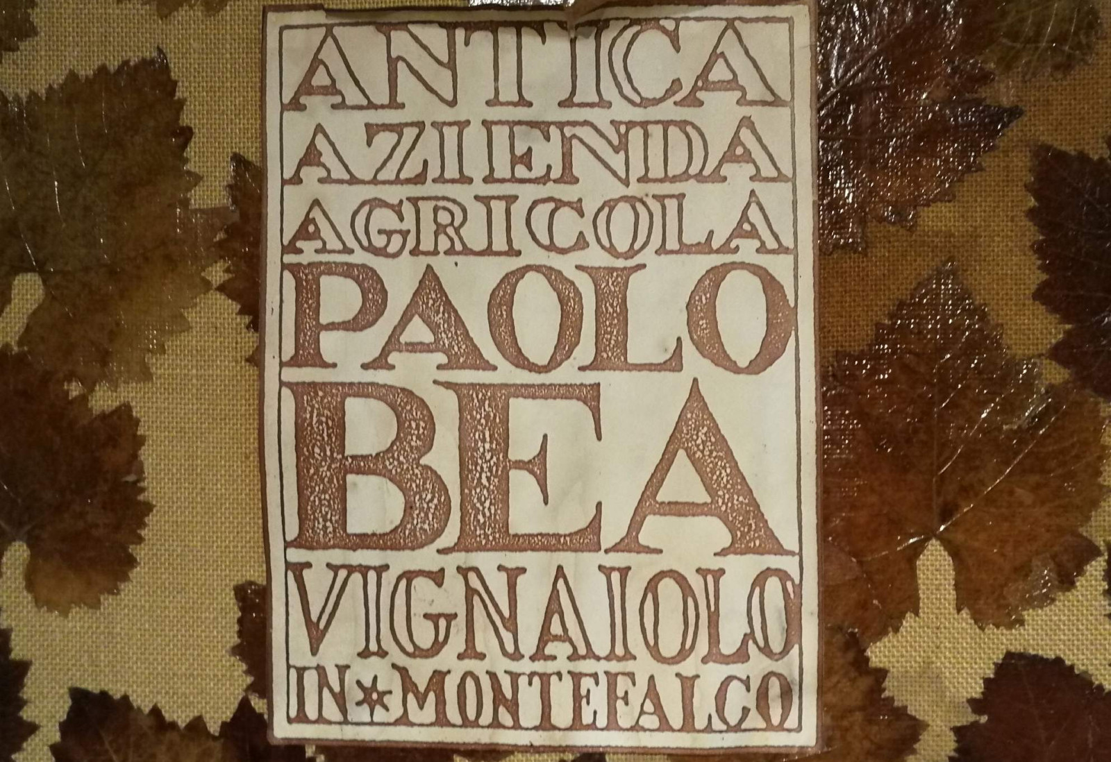 Antica Azienda Agricola Paolo Bea (Montefalco – Perugia) sceglie il QR-Code di OREV© per l’etichetta elettronica dei suoi vini