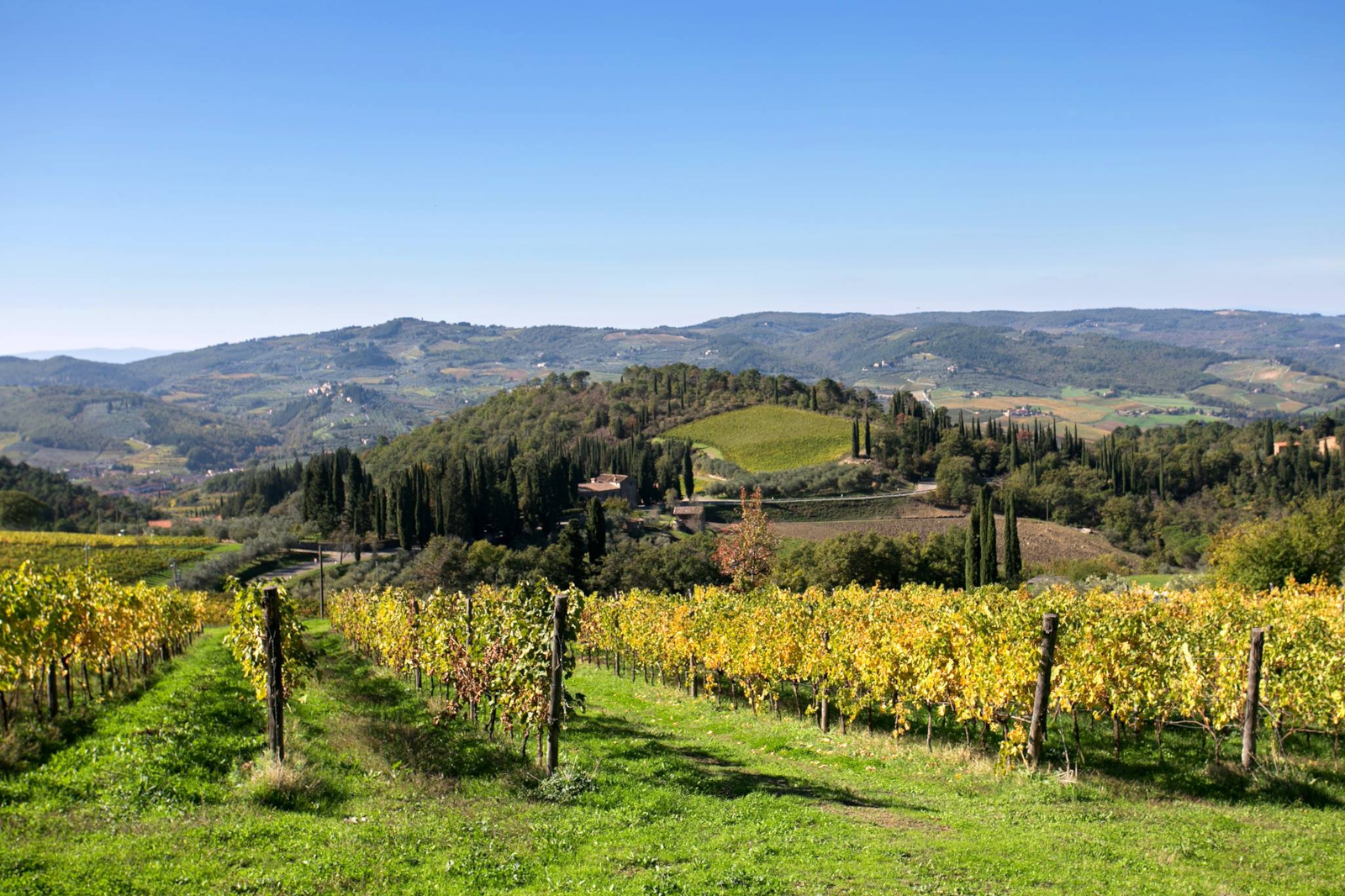 Tenuta Riseccoli (Greve in Chianti – Firenze) sceglie il QR-Code di OREV© per l’etichetta elettronica dei suoi vini